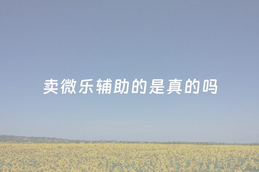 卖微乐辅助的是真的吗（卖微乐辅助的是真的吗还是假的）