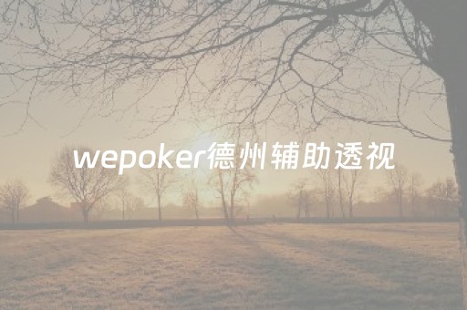 wepoker德州辅助透视（wepoker德州透视是真的吗）