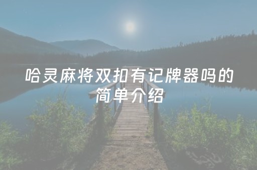 哈灵麻将双扣有记牌器吗的简单介绍（哈灵麻将技巧）