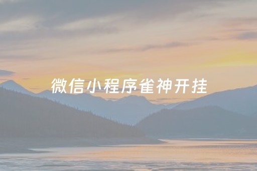 微信小程序雀神开挂（微信小程序雀神挂件是怎么设置）