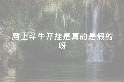 网上斗牛开挂是真的是假的呀（网上斗牛开挂是真的是假的呀）