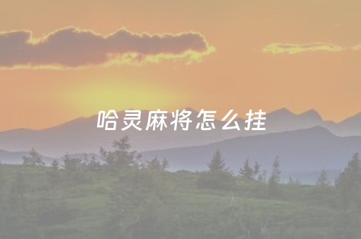 哈灵麻将怎么挂（哈灵麻将挂怎么弄）