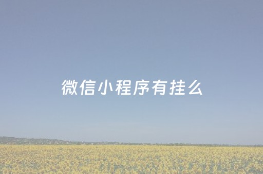 微信小程序有挂么（微信小程序能开挂吗）