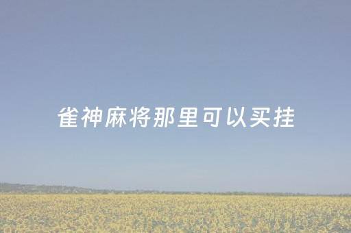 雀神麻将那里可以买挂（雀神麻将的挂怎么安装）