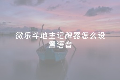 微乐斗地主记牌器怎么设置语音（微乐斗地主记牌器怎么设置语音提示）