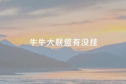 牛牛大联盟有没挂（牛牛联盟是什么意思）