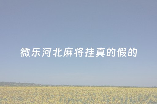 微乐河北麻将挂真的假的（微乐河北麻将有什么技巧）