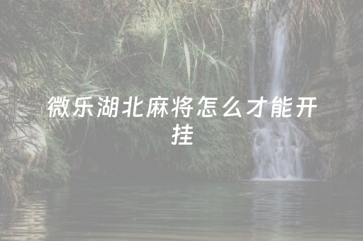 微乐湖北麻将怎么才能开挂（微乐武汉麻将怎么算分）