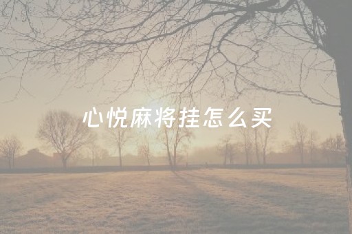 心悦麻将挂怎么买（心悦麻将有挂）