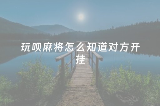 玩呗麻将怎么知道对方开挂（怎样看出别人玩麻将开挂）