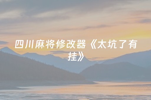 四川麻将修改器《太坑了有挂》（四川麻将修改器 +2 中文版）