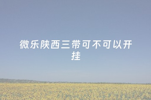 微乐陕西三带可不可以开挂（微乐游戏陕西三代玩法技巧）