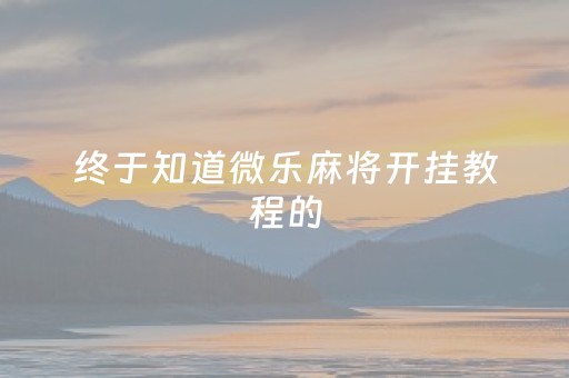 终于知道微乐麻将开挂教程的（终于知道微乐麻将开挂教程的是真的吗）