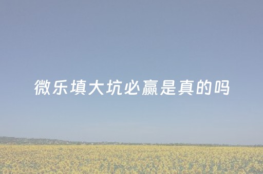 微乐填大坑必赢是真的吗（微信小程序微乐填大坑必赢）