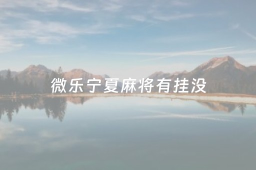 微乐宁夏麻将有挂没（微乐宁夏划水怎么开挂）