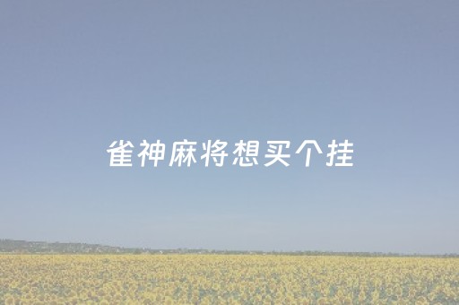 雀神麻将想买个挂（雀神麻将的挂怎么安装）