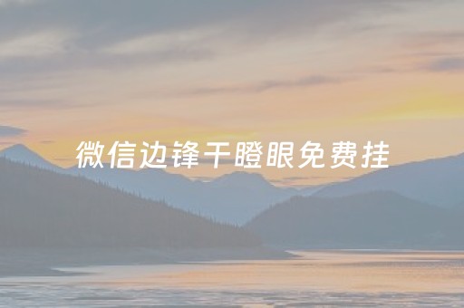 微信边锋干瞪眼免费挂（微信边锋干瞪眼怎么查看历史战绩）