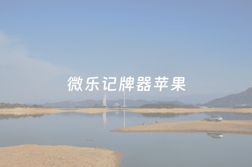 微乐记牌器苹果（微乐记牌器苹果版）