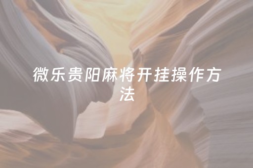 微乐贵阳麻将开挂操作方法（微乐贵阳麻将怎么开挂）