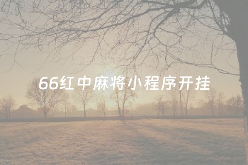 66红中麻将小程序开挂（微信小程序66红中麻将挂免费）