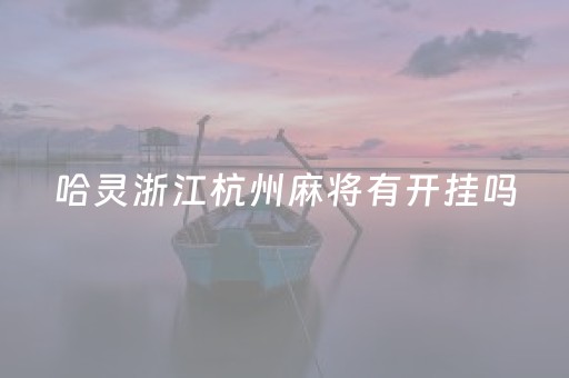 哈灵浙江杭州麻将有开挂吗（哈灵浙江杭州麻将安卓版官网）