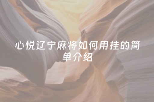 心悦辽宁麻将如何用挂的简单介绍