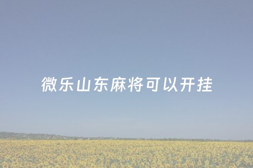 微乐山东麻将可以开挂（微乐山东麻将开挂神器）