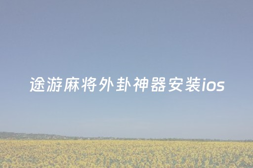 途游麻将外卦神器安装ios（途游麻将开挂神器）