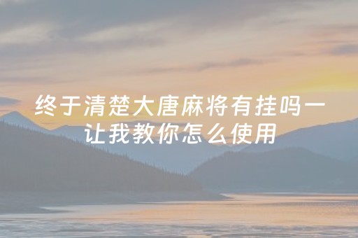 终于清楚大唐麻将有挂吗一让我教你怎么使用（终于找到大唐麻将有挂吗）