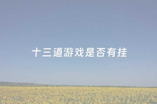 十三道游戏是否有挂（十三道游戏 玩法）