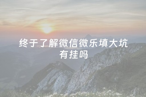 终于了解微信微乐填大坑有挂吗（微乐填大坑在哪找）