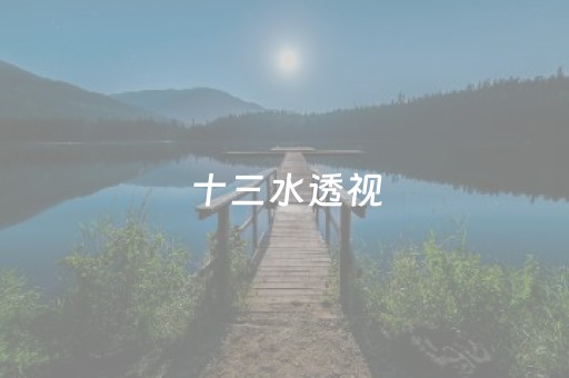 十三水透视（十三水技巧）