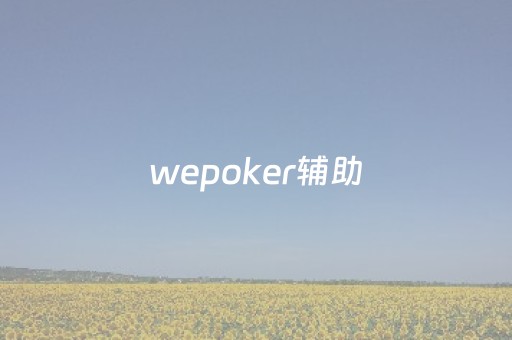 wepoker辅助（wePoker辅助诈骗）