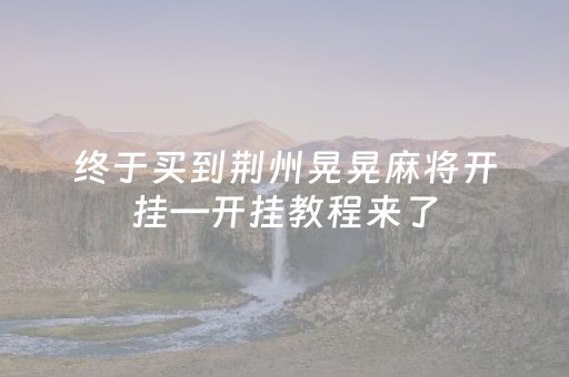 终于买到荆州晃晃麻将开挂—开挂教程来了（荆州麻将晃晃癞子怎么打）