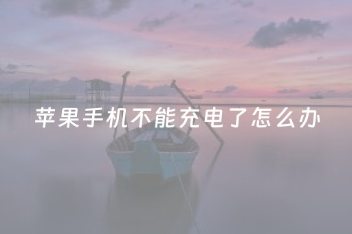 苹果手机不能充电了怎么办（苹果手机突然充不进去电了是怎么回事）