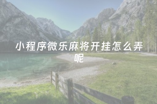 小程序微乐麻将开挂怎么弄呢（小程序微乐麻将怎样开挂）