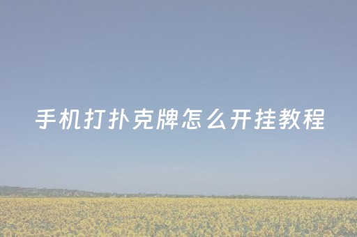 手机打扑克牌怎么开挂教程（手机打牌怎么开挂跑得快）