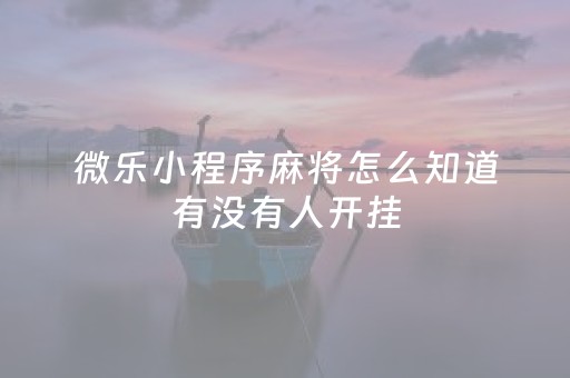 微乐小程序麻将怎么知道有没有人开挂（微乐麻将怎么知道对方有没有开挂）