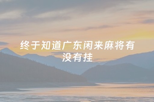 终于知道广东闲来麻将有没有挂（广东闲来麻将挂先试用后付款）