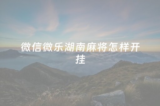 微信微乐湖南麻将怎样开挂（微乐湖南麻将微信版）