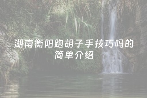 湖南衡阳跑胡子手技巧吗的简单介绍（衡阳跑胡子群）