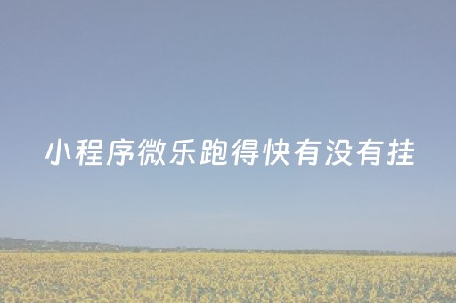 小程序微乐跑得快有没有挂（微信里面的微乐跑得快有挂吗）