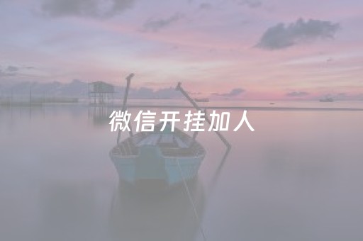 微信开挂加人（微信开挂是什么）