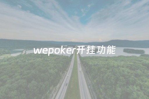 wepoker开挂功能（wepoker开挂功能）