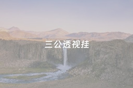 三公透视挂（三公开挂神器）