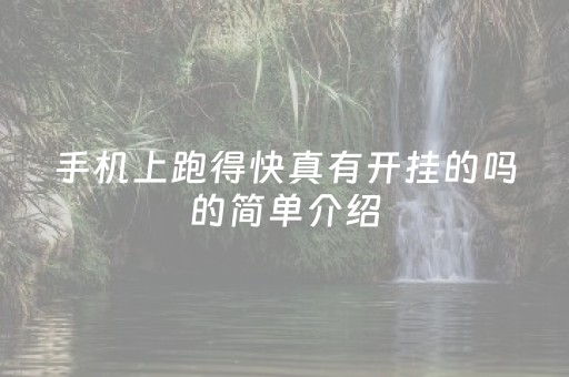 手机上跑得快真有开挂的吗的简单介绍（手机上跑得快哪个最赢钱）