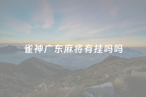 雀神广东麻将有挂吗吗（雀神广东麻将有技巧的吗）