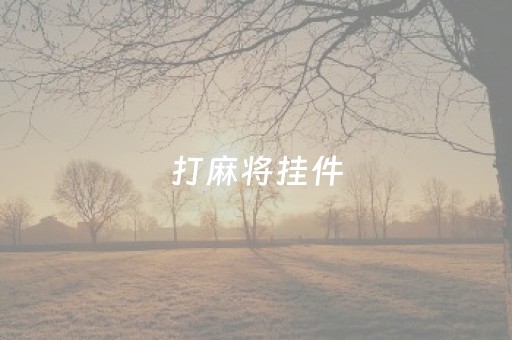 打麻将挂件（打麻将的挂怎么装）