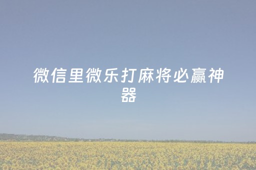 微信里微乐打麻将必赢神器（微信微乐麻将有挂吗怎样安装）