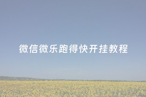 微信微乐跑得快开挂教程（微信微乐跑得快开挂安装）